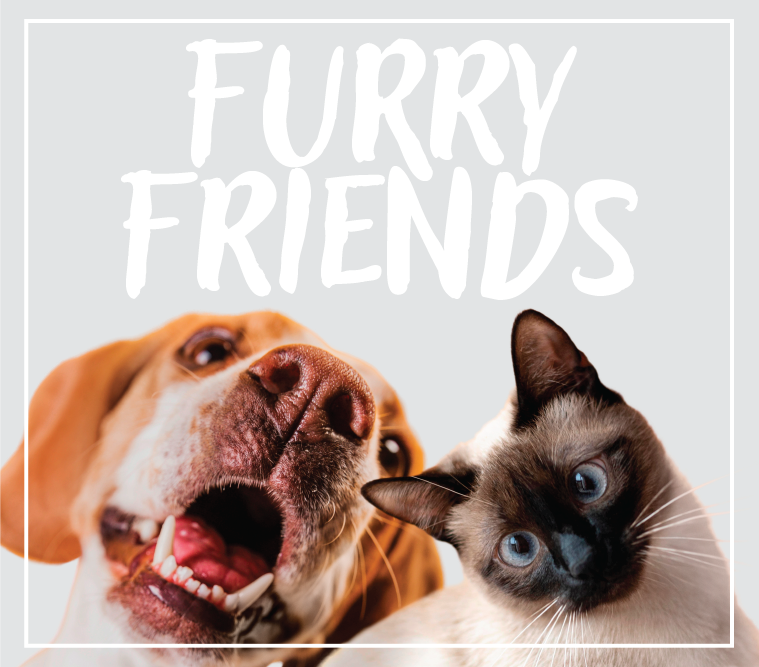 Pet Gifts